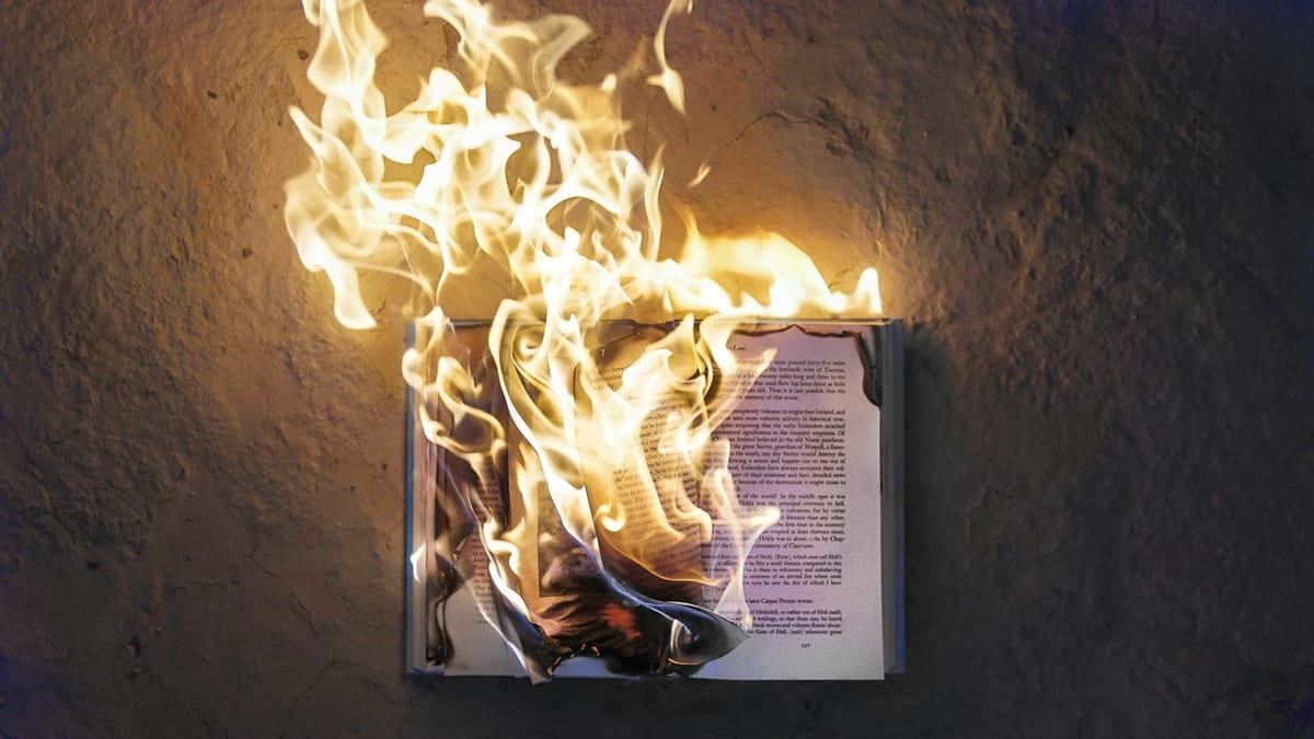 Fotografía que ilustra la noticia: Amazon destruye libros raros para entrenar sus modelos de IA, según una investigación