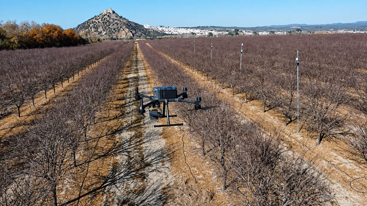 Fotografía que ilustra la noticia: El CSIC estrena una plataforma de drones y sensores que riega árbol a árbol y logra hasta un 10% más de producción